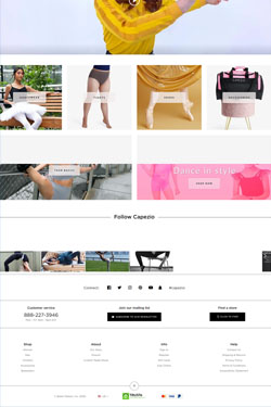 Hosting Company Layout Preview